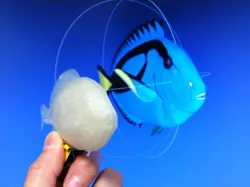 Print this Fish: 3D Printing Challenge