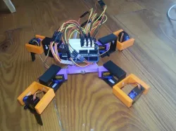Quadruped
