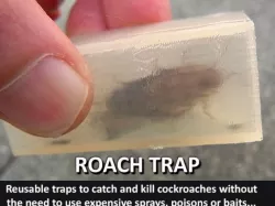 Roach Trap...Reusable trap to catch and kill cockroaches
