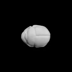 Scarab seal