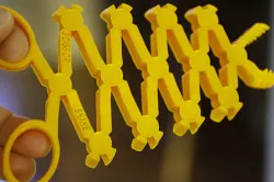Scissor Snake Family