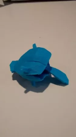 Shellder
