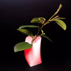 Simple Heart Vase