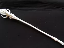 Staff of Magnus