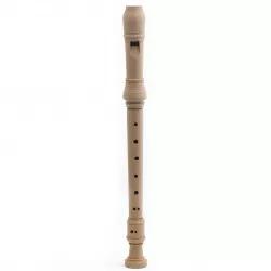 The Recorder Flute