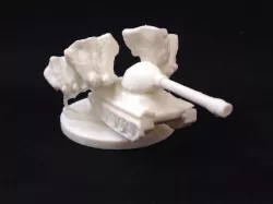 The Tank-Borne Infantry