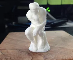 The Thinker