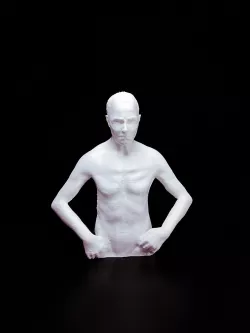 Torso of a Man
