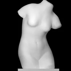 Torso