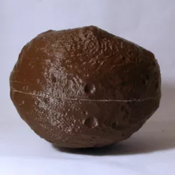 Vesta