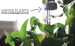 Watering Bottle