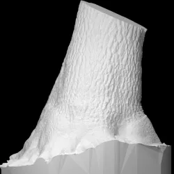 Yosemite Hollow Tree PhotoScan