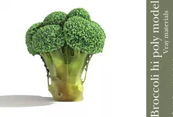 Broccoli plant 3D model
