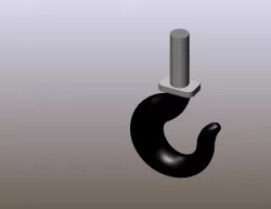 Crane hook
