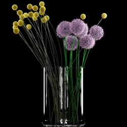 Craspedia and Allium 3D model