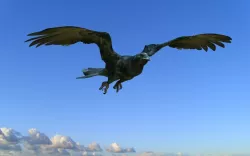 Crow modeling and rigged For 3d max Low-poly  3D model
