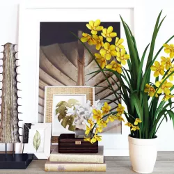 Decoration set Cymbidium Orchid 3D model