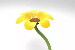 flower