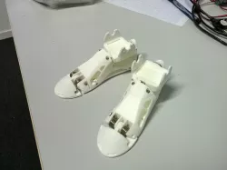 Foot humanoid robot