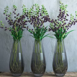 Fritillaria Persica 3D model