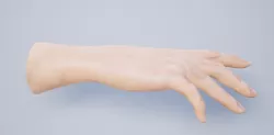 Hand for VR 3D model