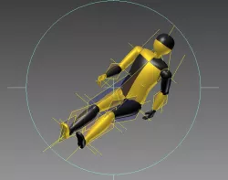 Human 3D Model 