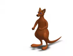 Kangaroo