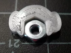 Nut Leia