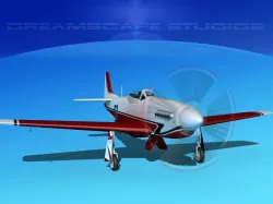 P-51 Mustang Sport V06 3D model