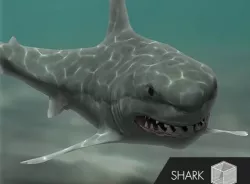  PA Shark Low-poly  3D model