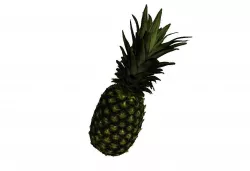 Pineapple Low-poly  3D model