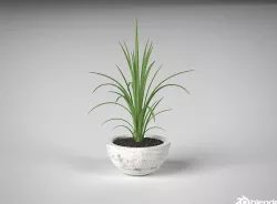 Realistic ornemental concrete vase pot potted leaf flower  3D model
