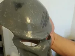 The Predator Mask