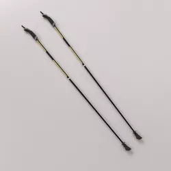 Walking Pole 3D model