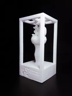 3D Print trophy