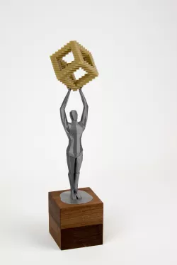3DPI award entry