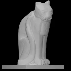 A Cat