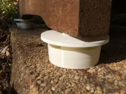Beehive Ant Moat