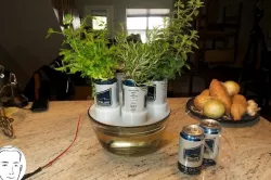 Beer Can Hydroponics