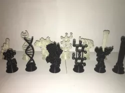 Biochemistry Chess Set