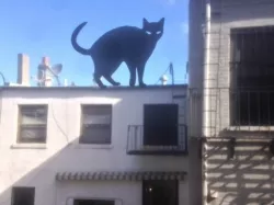 Black Cats - With simple image-to-3D-design tutorial