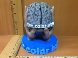 Blue Collar Hands - White Collar Mind