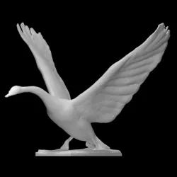 Bronze Swan