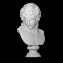 Bust of Adonis