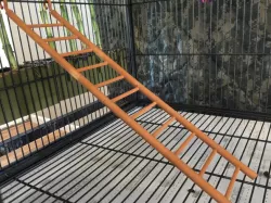 Cage Ladder