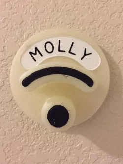 Dog Leash and accessory holder, wall mountable