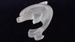 Dolphin
