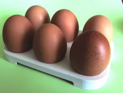 egg tray