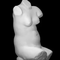 Female Torso