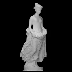 Flora